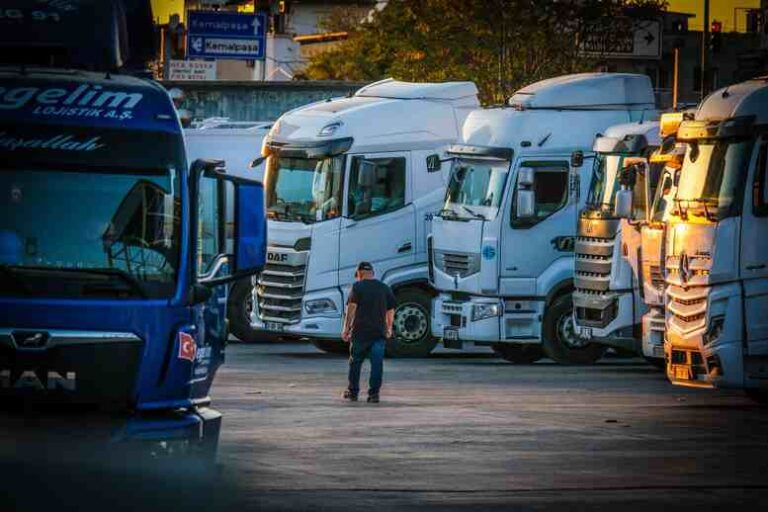 Worauf es beim Pferdetransport ankommt
